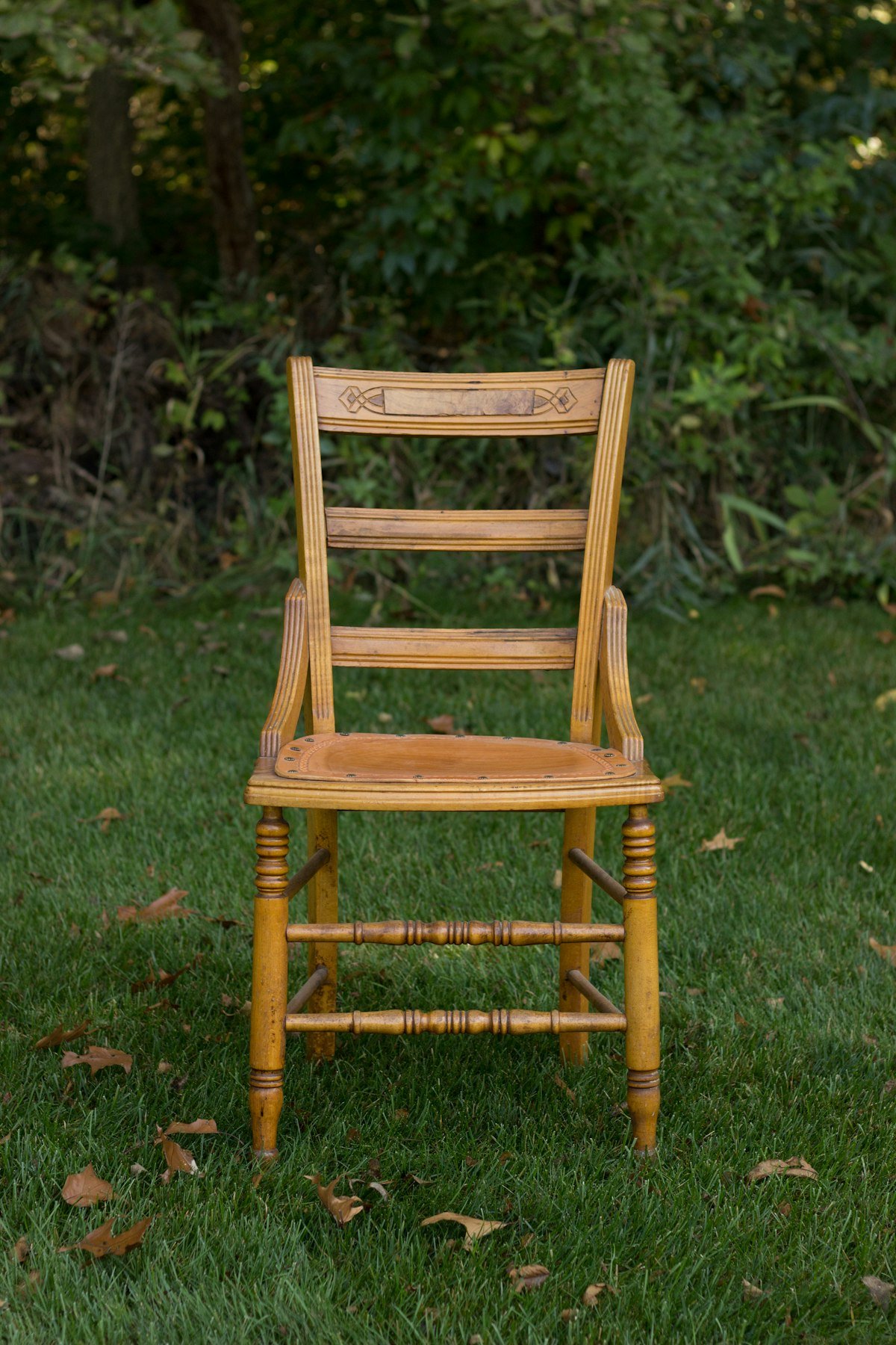Dining and office chair cleaning